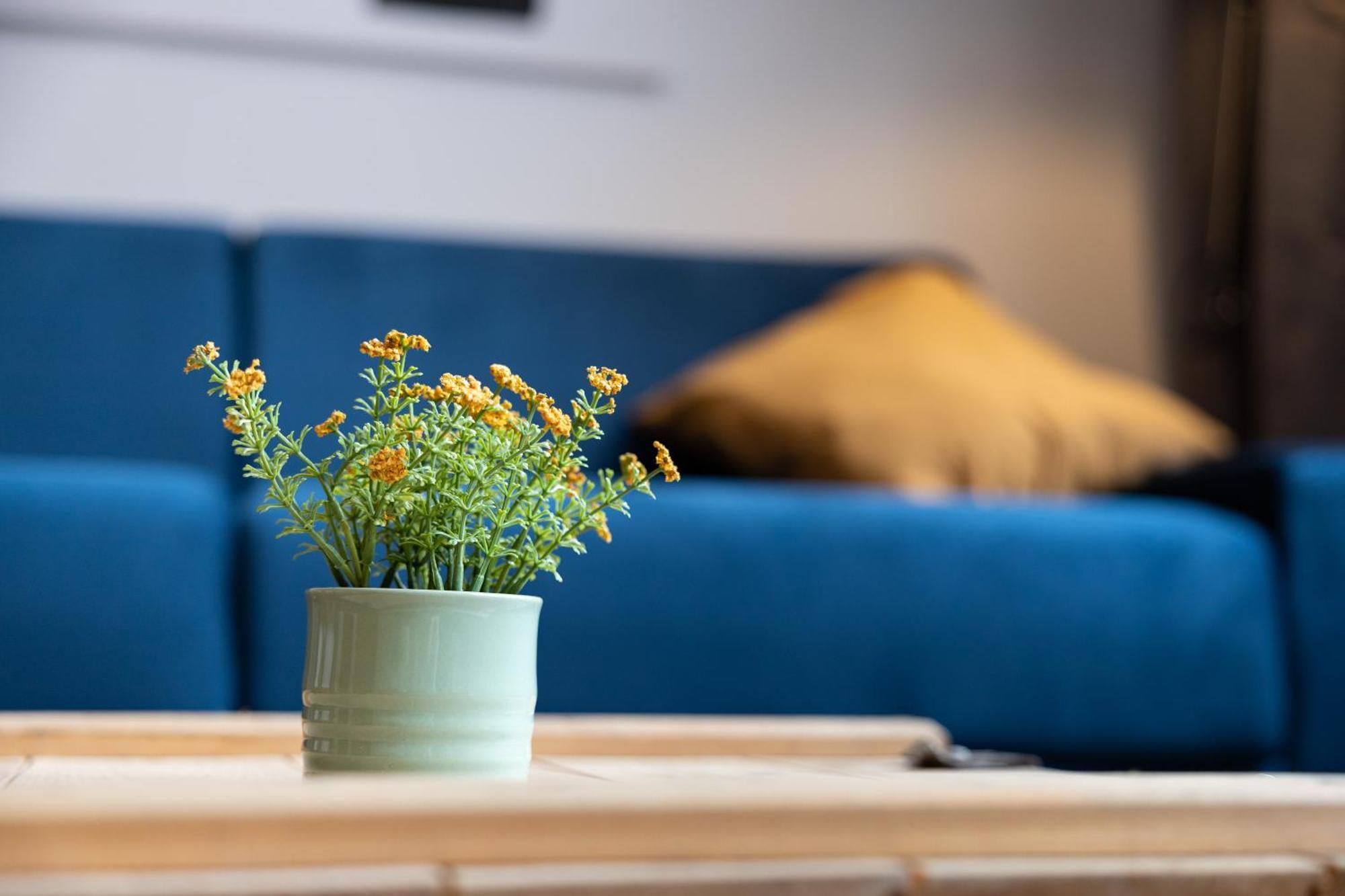 Halle  Ko-Living Space An Der Oper - Street Art Design Apartments מראה חיצוני תמונה